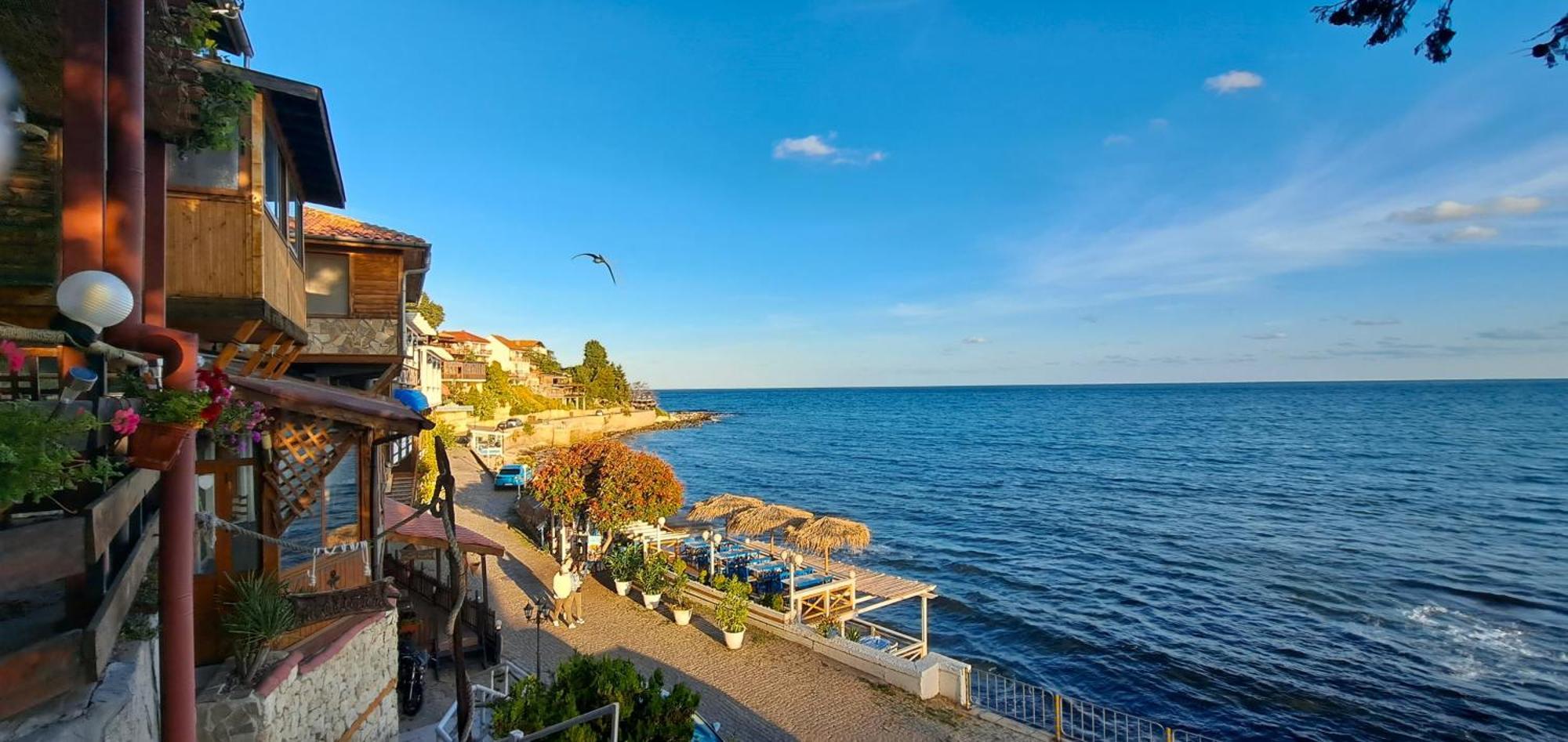 Apartment Daisy Grand Kamelia Słoneczny Brzeg Zewnętrze zdjęcie